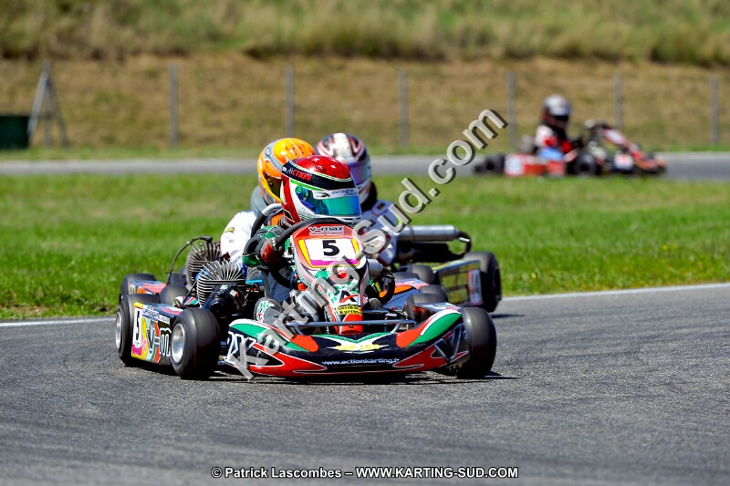 DSC_ (1511).jpg